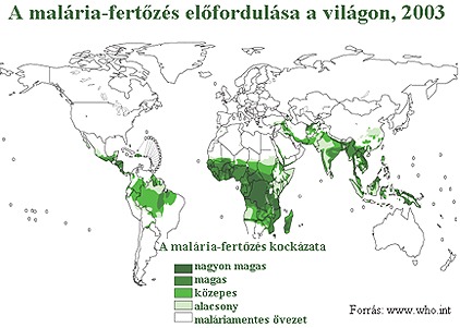 Milyen Plasmodium malária okozza a négynapos maláriát platyhelminthes ecdysozoans