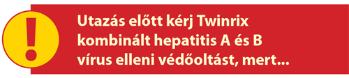 Twinrix banner