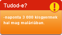 naponta 3 000 kisgyermek hal mag maláriában.