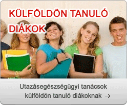 kulfoldon tanulo diak