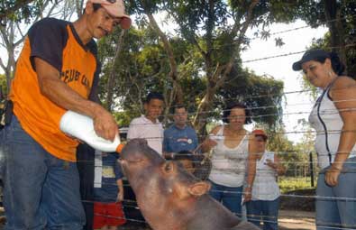 A kokainbáró volt birtoka, a Hacienda Napoles