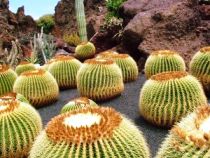 Lanzarote, Nemzeti park