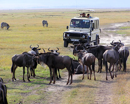 safari, szafari túra